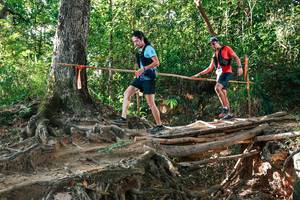 BIB: 
                            <button type="button" onclick="openModal(27552657)" class="btn btn-primary btn-sm float-right btn-popup" data-toggle="modal" data-target=".modal-high-quality">
                        <i class="fas fa-shopping-cart"></i> Add to Cart
                    </button>
                                            <button type="button" onclick="isThisMe(27552657, true)" class="btn btn-success btn-sm float-right btn-popup btn-isme hidden" data-toggle="tooltip" data-placement="bottom" title="นี่คือรูปของคุณใช่ไหม คลิกที่นี่เพื่อเอาเข้าอัลบั้ม">
                        <i class="fas fa-plus"></i> Add to album
                    </button>
                    <button type="button" onclick="isThisMe(27552657, false)" class="btn btn-warning btn-sm float-right btn-popup btn-isnotme hidden">
                        <i class="fas fa-ban"></i> Remove from album
                    </button>